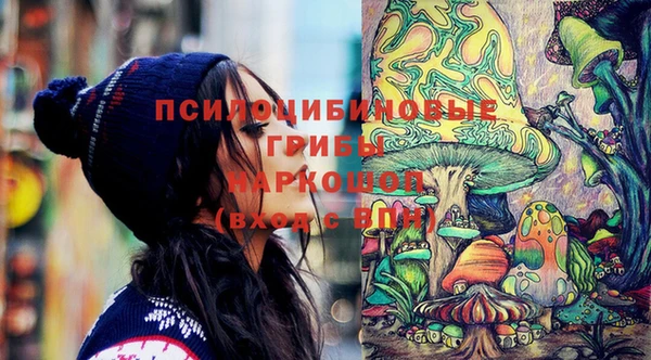 прущая мука Инсар