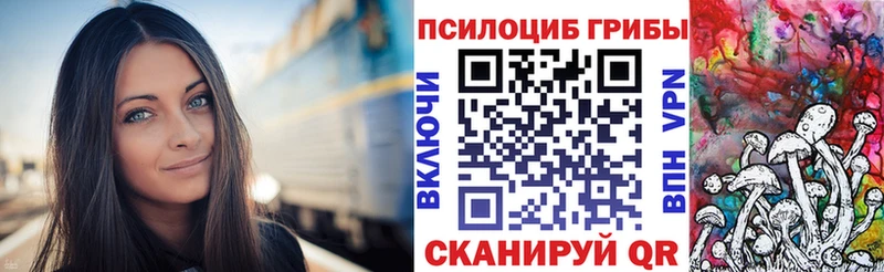 Купить закладки  Звенигово  Псилоцибиновые грибы прущие грибы 